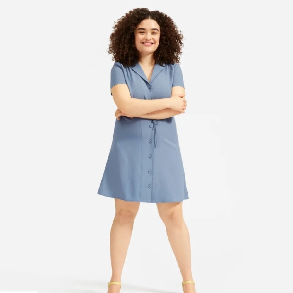 Everlane The Japanese GoWeave Notch Shirtdress